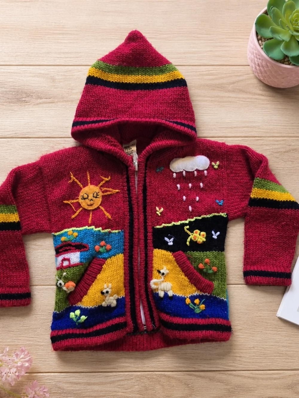 Abella Bright Red Knit Hooded Sweater
